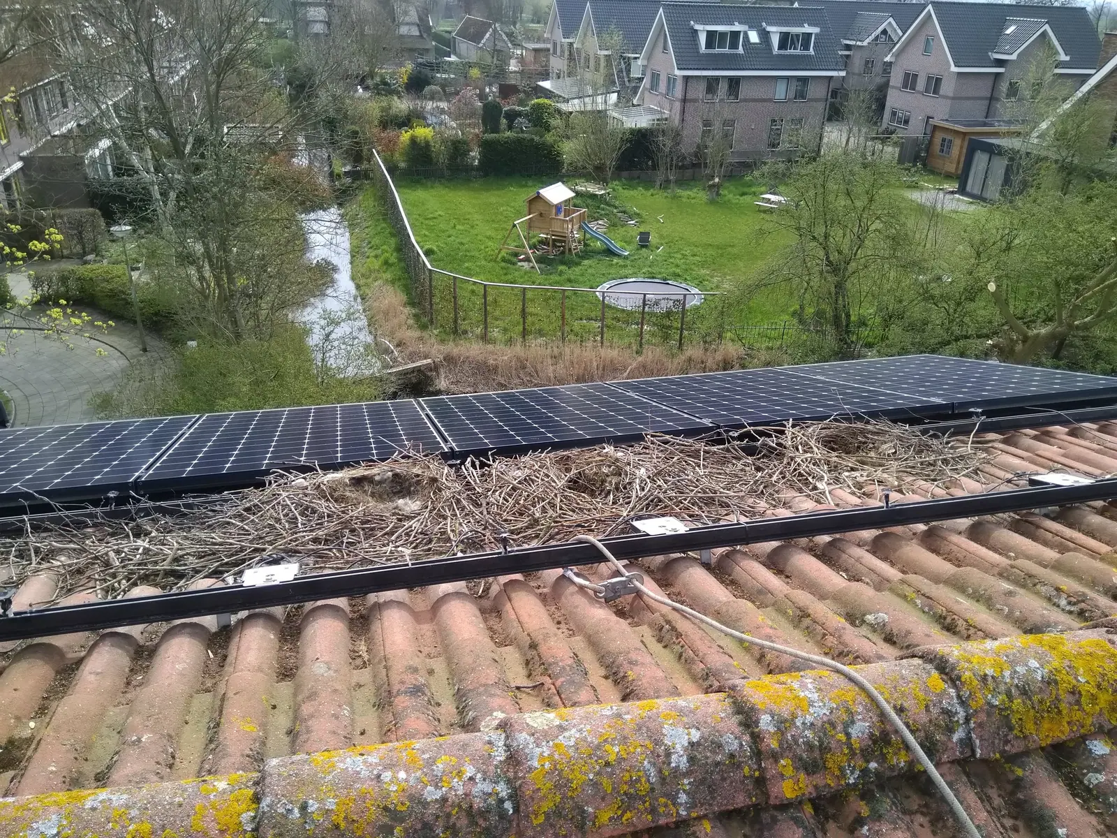 Voor: groot duivennest onder zonnepanelen op een pannendak